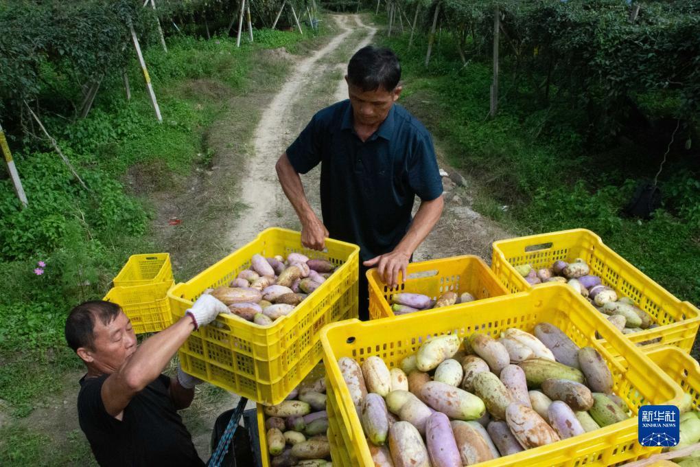 新金沙游戏网
